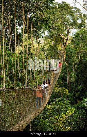 La gente sul pontile attraverso la foresta pluviale tropicale nel Kakum National Park, Ghana, Africa Foto Stock