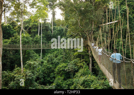 Il Pontile attraverso la foresta pluviale tropicale nel Kakum National Park, Ghana, Africa Foto Stock