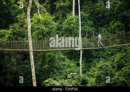 Uomo che cammina sul pontile attraverso la foresta pluviale tropicale nel Kakum National Park, Ghana, Africa Foto Stock