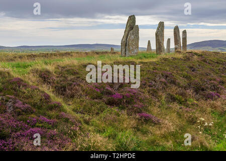 Anello di Brodgar cerchio di pietra nelle Isole Orcadi Scozia, Europa Foto Stock