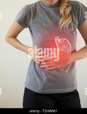Evidenziato in rosso nello stomaco / organo lesa / Biomedicale illustrazione Foto Stock