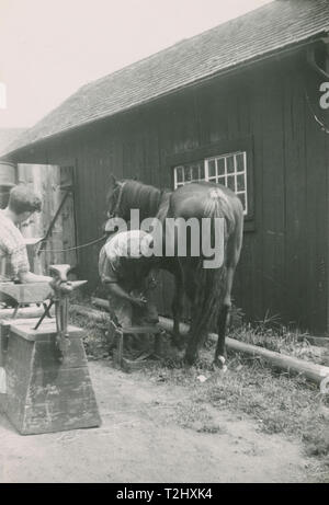 Antique c1950 fotografia, afro-americano di uomo ferratura di cavallo. Posizione sconosciuta, STATI UNITI D'AMERICA. Fonte: originale stampa fotografica. Foto Stock