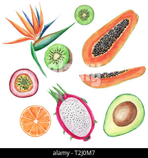 Acquerelli di frutti tropicali set. Dipinto a mano illustrazioni: avocado, papaia, arancio, kiwi, maracuja e strelitzie su sfondo bianco Foto Stock