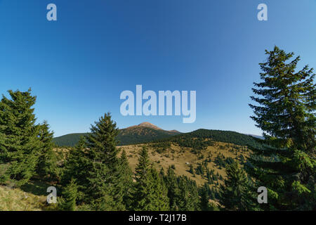 Il paesaggio del monte Hoverla è la montagna più alta dell'Ucraina sulle montagne dei Carpazi. La montagna si trova nella parte orientale di Beskids, nel Chorn Foto Stock