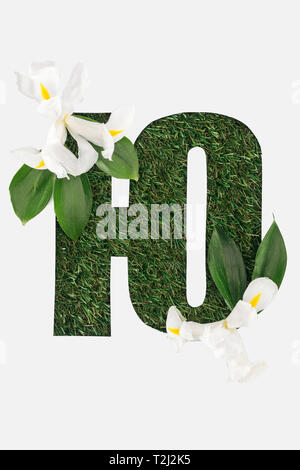 Tagliare lettera di alfabeto cirillico in materiali naturali erba verde con foglie e fiori di colore bianco isolato su bianco Foto Stock