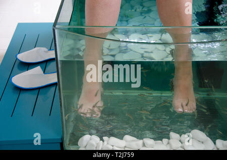Una spa di pesce a Santorini, in Grecia, utilizza piccoli pesci chiamati Garra Rufa per mangiare via pelle morta trovato sui piedi dei popoli, lasciando la pelle più nuova esposta. Foto Stock