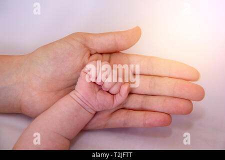 Capogruppo Holding nelle mani dei piedi del neonato. Genitore cura del neonato. Una piccola Kid dita. Foto Stock