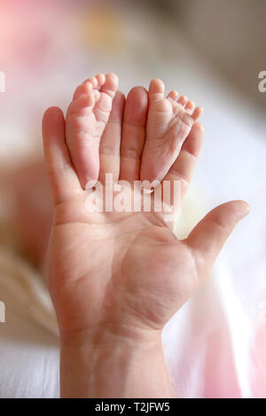 Padre Mani piccoli piedi del bambino. Close-up minuscoli piedi del bambino in mani. Padre cura del neonato. Una piccola Kid dita. Foto Stock