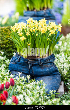 Giardino moderno design con jeans pot Foto Stock