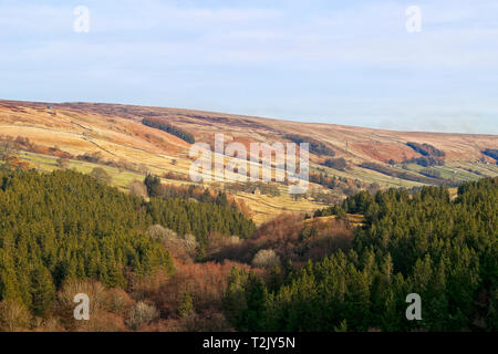 Guardando verso il basso la Nidd Valle Nidderdale superiore dello Yorkshire del nord dalla parte superiore della cicatrice casa diga del serbatoio su un luminoso Febbraio pomeriggio 2019 Foto Stock