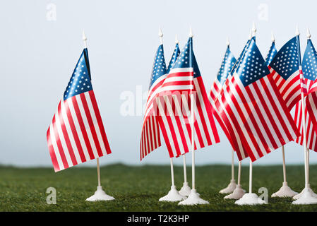 Bandierine americane su erba verde isolato su grigio Foto Stock