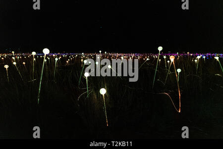 Campo di luce di notte vista ravvicinata di luci in NT Australia Foto Stock