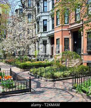 Boston Back Bay in primavera. Architettura vittoriana, albero in fiore fiori, peculiare quartiere Foto Stock