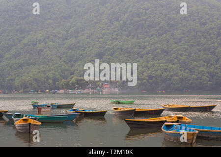 Barche a noleggio sul lago Phewa in Pokhara, Nepal Foto Stock
