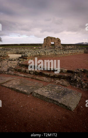 I resti del muro di mercato a Wroxeter città romana in Wroxeter, Shropshire, Inghilterra, Regno Unito. Foto Stock