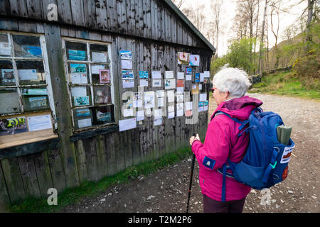 Signora anziana walker, guardando l'orsacchiotto nella finestra display cartolina vicino Derwentwater, Keswick, Cumbria Foto Stock