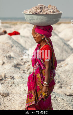 SAMBHAR, India - 19 novembre 2012: vista laterale della donna indiana in abiti tradizionali che porta lavabo con sale sulla sua testa. Donna indiana che lavora sul sale Foto Stock