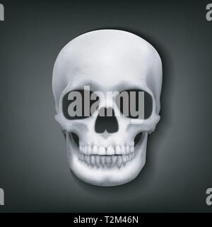 Cranio realistici testa su sfondo scuro, illustrazione vettoriale Illustrazione Vettoriale