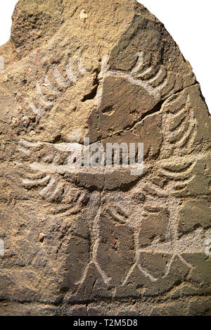 Petroglifi preistorici, incisioni rupestri, di disegni geometrici scolpiti dalla preistoria Camuni persone, Museo della Preistoria in Val Camonica, Italia Foto Stock