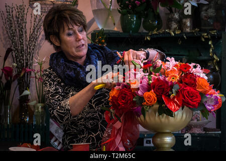 Un bouquet esperto nel parco Keukenhof dà un talk su come decorare con fiori. Foto Stock