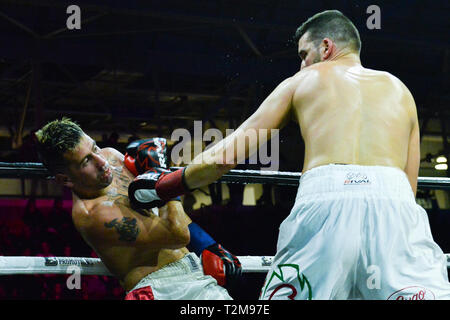 Nick Fantauzzi (L) e Maximiliano Corso sono visto in azione durante l'acquisizione il pugilato caso presentato da Lee Baxter promozioni presso il Mattamy Athletic Centre in Toronto. Foto Stock