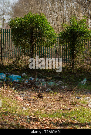 Inquinamento di plastica nella foresta / Cucciolata mancanti da foreste nel Regno Unito Foto Stock