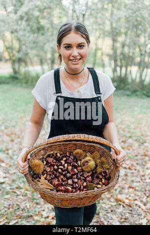 La donna la raccolta delle castagne, Rezzago, Lombardia, Italia Foto Stock