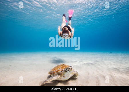 Donna nuoto verso la tartaruga verde, Curacao Foto Stock