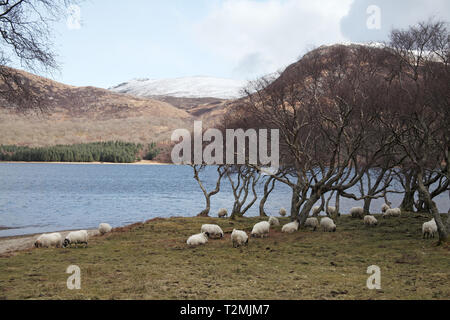 Loch Ba e Beinn na Buuieviean Isle of Mull Scotland Regno Unito Foto Stock