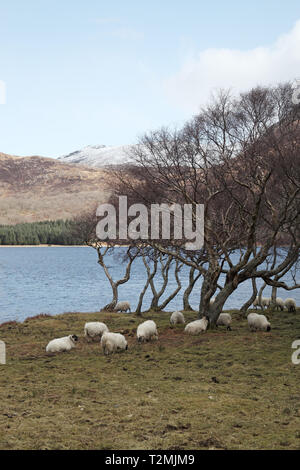 Loch Ba e Beinn na Buuieviean Isle of Mull Scotland Regno Unito Foto Stock