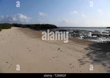 Turtle Beach, Azura Quilalea isola privata, Quirimbas arcipelago, Mozambico, Africa Foto Stock