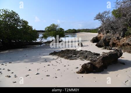 Turtle Beach, Azura Quilalea isola privata, Quirimbas arcipelago, Mozambico, Africa Foto Stock