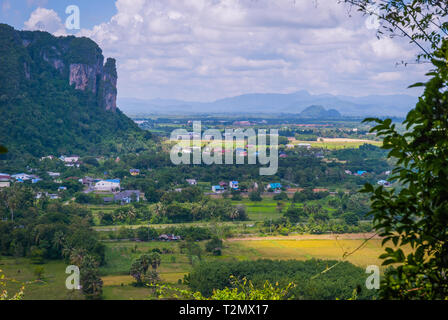 Terre verde intorno Phatthalung Rock, Thailandia Foto Stock