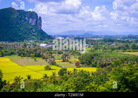 Terre verde intorno Phatthalung Rock, Thailandia Foto Stock