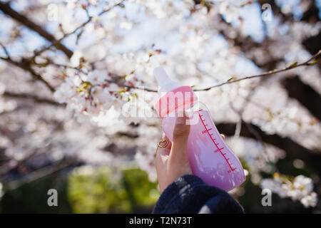 Iwakura, Aichi, Giappone. 3 apr, 2019. Visto il succo in un biberon durante il Iwakura Cherry Blossom Festival a evidenziare di arco creato da circa 1.400 Cherry Blossom di alberi che sono stati piantati lungo entrambe le rive del fiume Gojo dove fluisce attraverso Iwakura città. Il succo è venduto al blossom festival. Credito: Takahiro Yoshida SOPA/images/ZUMA filo/Alamy Live News Foto Stock