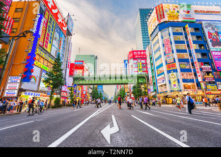 TOKYO, Giappone - 1 agosto 2015: folle passano sotto i segni colorati in Akihabara. Lo storico quartiere di elettronica si è evoluta in una zona dello shopping per v Foto Stock