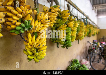 Fasci di banane appeso per la vendita al mercato all'aperto, Ruanda Farmers Market, in Ruanda Foto Stock