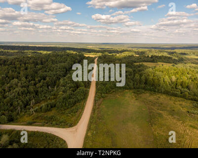 Strada nel verde della foresta in estate Foto Stock