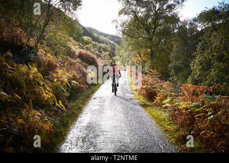 Maschio di mountain biker ciclismo su strada rurale, vista posteriore, Achnasheen, Highlands scozzesi, Scozia Foto Stock