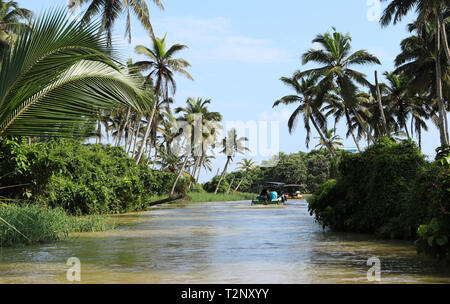 India del sud naturale destinazioni Tour Foto Stock