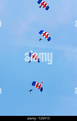 RAF Falchi parachute display team creato nel 1961 come parte del n. 1 paracadute Scuola di Formazione Foto Stock