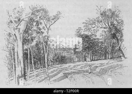 Strada per il Fish River grotte. Le Caverne di Jenolan. Australia 1890 antica stampa Foto Stock