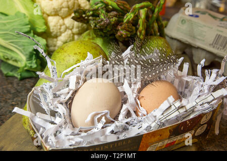 Close-up, indoor colpo di due faraona uova annidato in carta tagliuzzata sul tavolo da cucina, circondato da frutta e verdura. Foto Stock