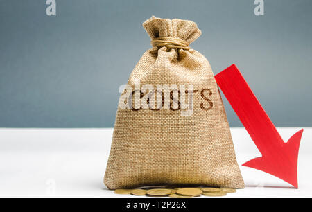 Sacco di denaro con le monete con la parola i costi e una freccia giù. Riduzione. Tagliare le spese. Il concetto di business e finanza. Gestione del denaro. Piano di budget Foto Stock