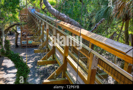 La tettoia a piedi ponte di sospensione di attrazione turistica in Myakka River State Park in Sarasota Florida, albero, alberi Foto Stock