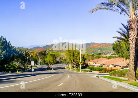 La guida verso il camminatore Canyon Lake Elsinore, durante la superbloom; colline coperte in California poppies visibile in background; California del sud Foto Stock