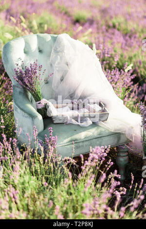 Sedia decorazione in purpur campo di lavanda su golden sunset.Location Crimea Foto Stock