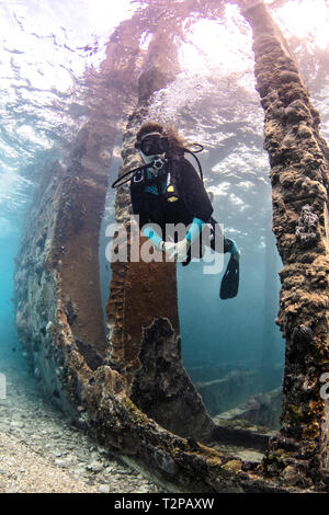 Vista subacquea femminile di scuba diver esplorare Sapona relitto, Alice Town, Bimini, Bahamas Foto Stock