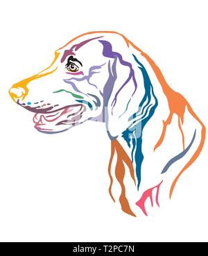 Colorato contorno decorativo ritratto di cane Weimaraner cercando di profilo, illustrazione vettoriale in colori diversi isolati su sfondo bianco. Immagine Illustrazione Vettoriale