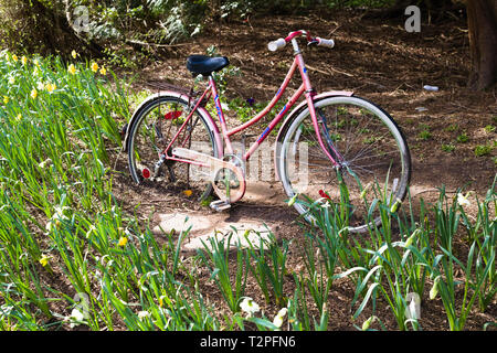 Una vecchia bicicletta è un ornamento da giardino nel Bear Creek Park, Surrey, British Columbia, Canada Foto Stock